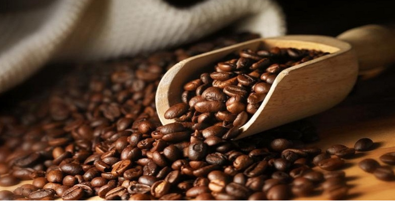 Sem título arabica.png